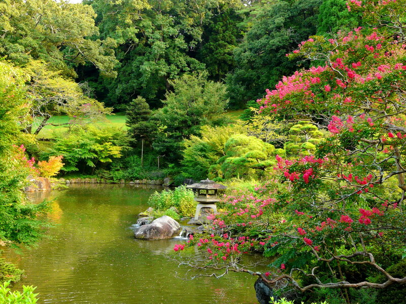 Japanese Garden Pond — Green, Serene, Summer