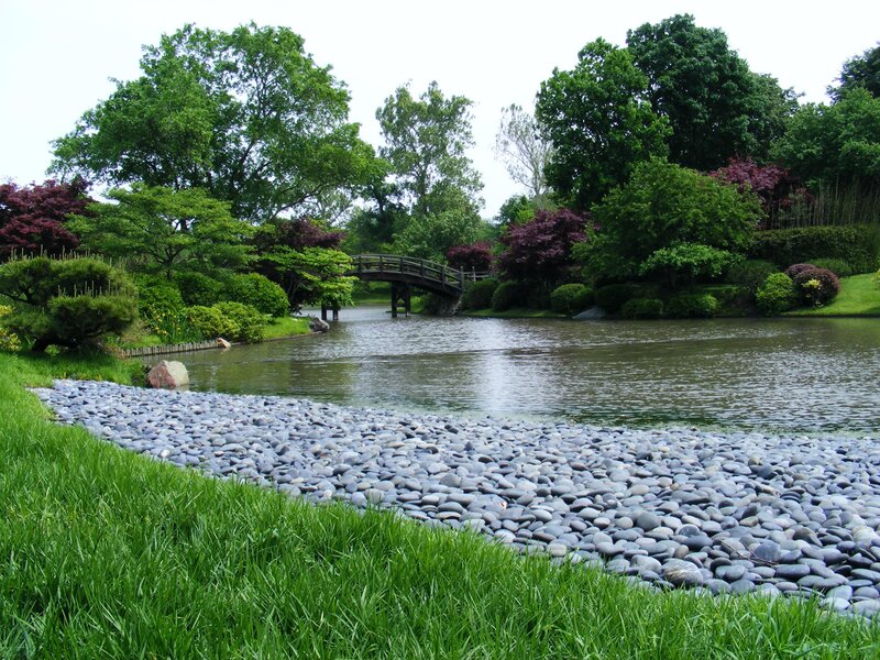 Japanese Garden Pond — Green, Serene