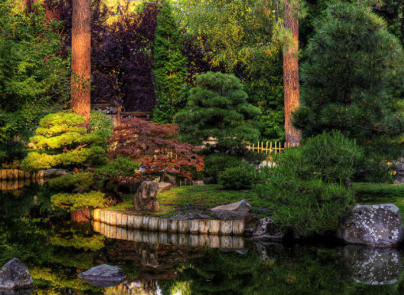 Japanese Garden Pond — Green