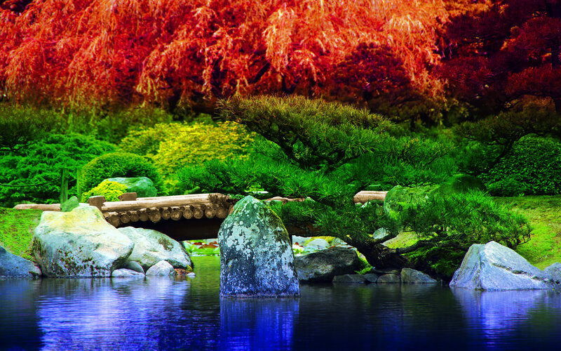 Japanese Garden Pond — Red, Serene