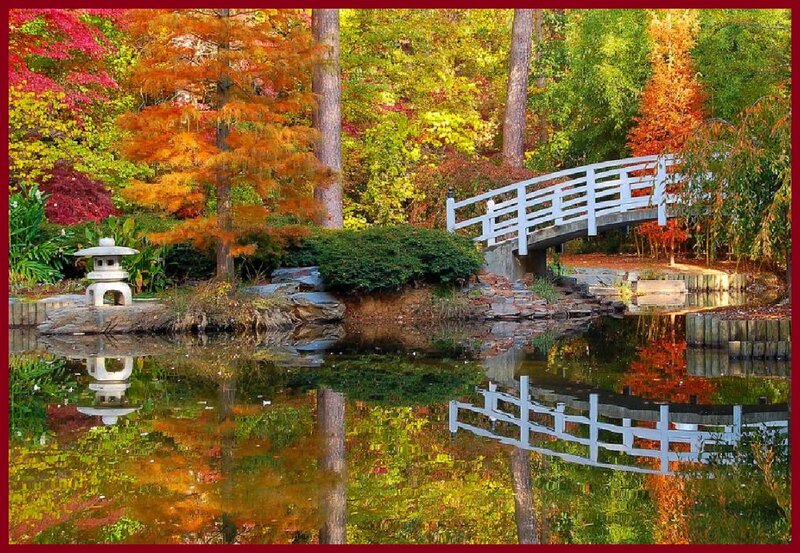 Japanese Garden Pond — Red
