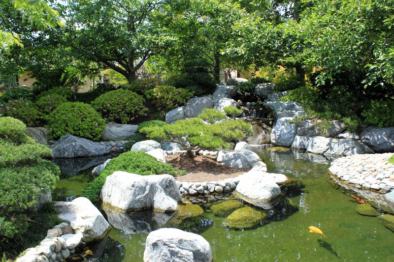 Japanese garden pond scene