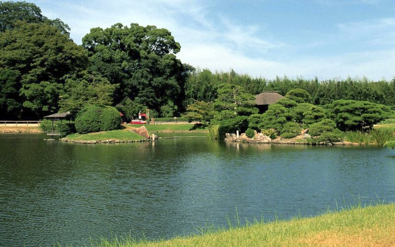 Japanese garden pond scene