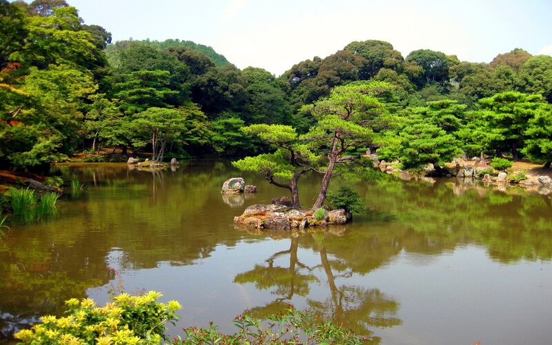 Japanese garden pond scene