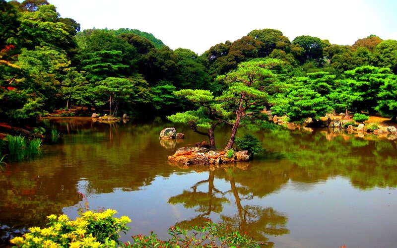 Japanese garden pond scene