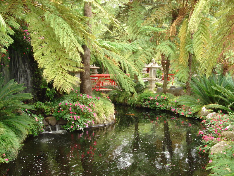 Japanese garden pond scene