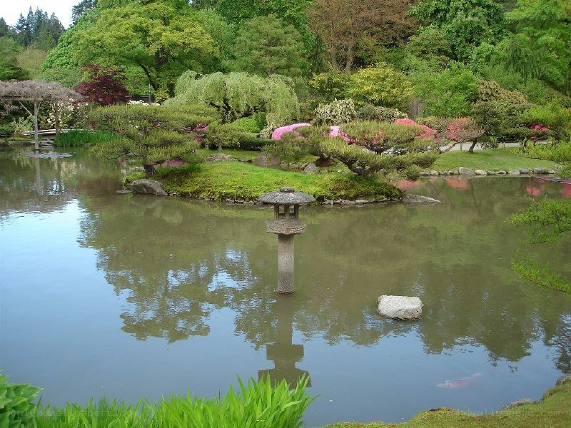 Japanese garden pond scene