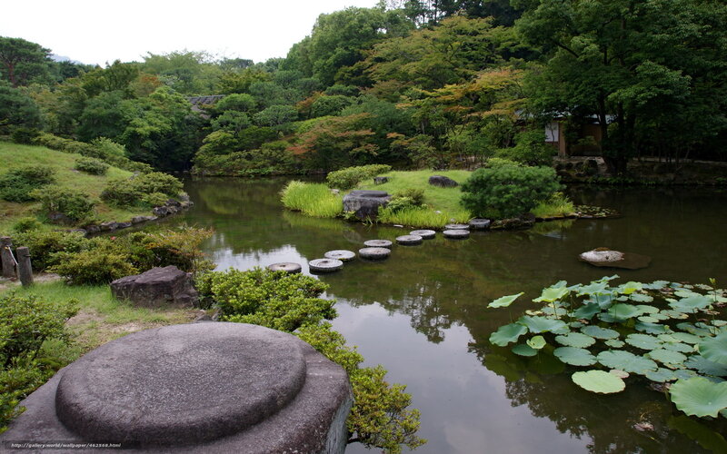 Japanese garden pond scene