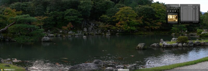 Japanese garden pond with koi fish