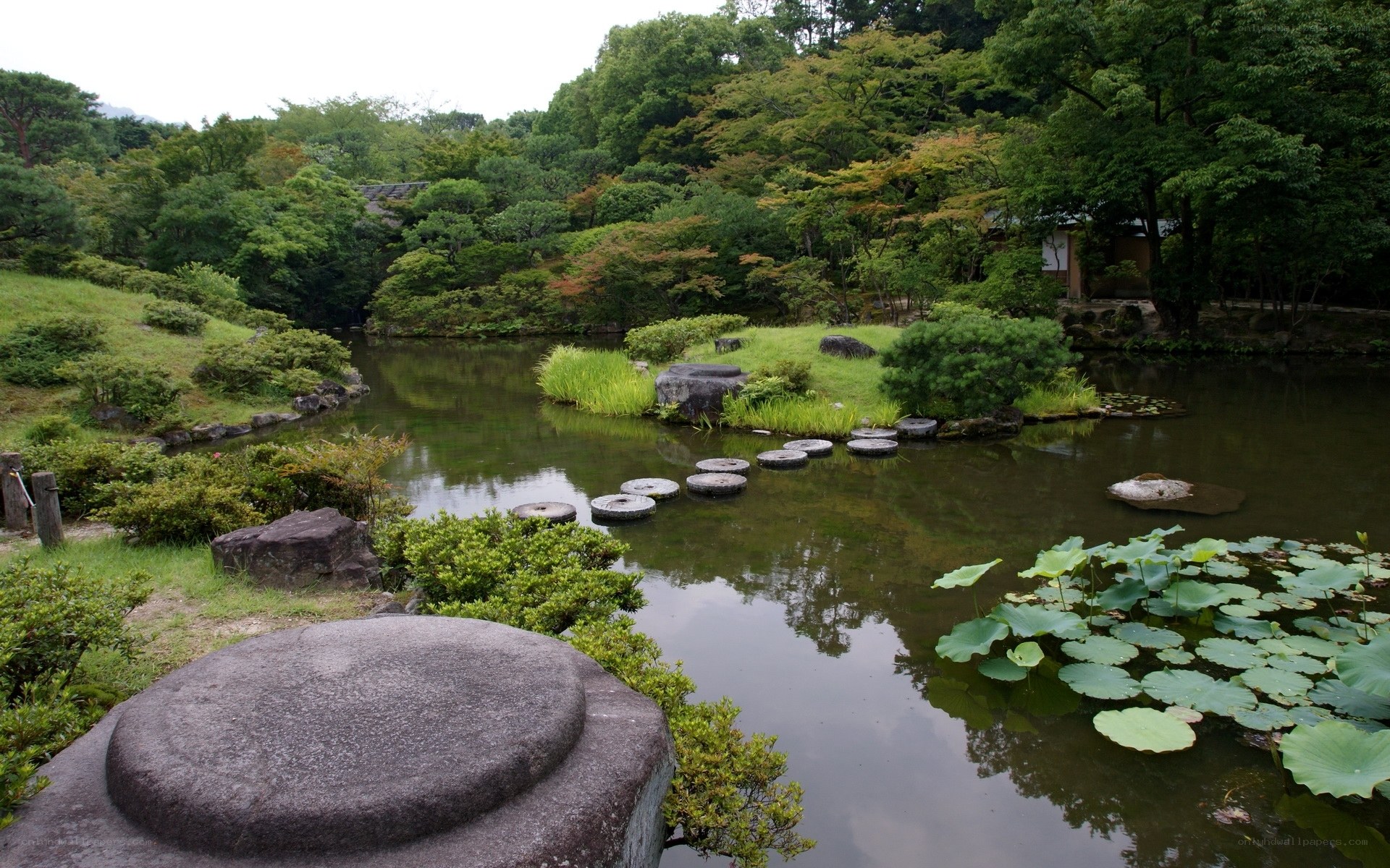 Japanese garden pond with stepping stones
