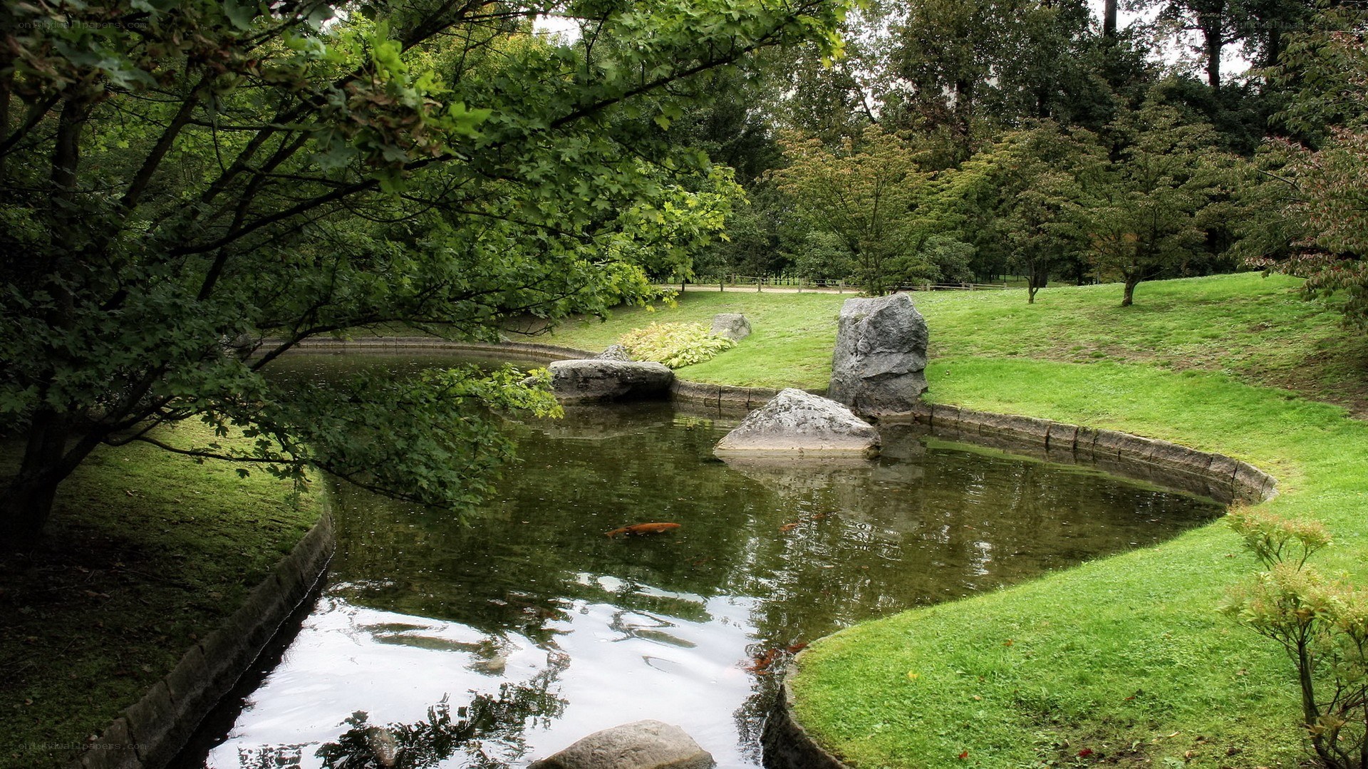 Japanese garden pond