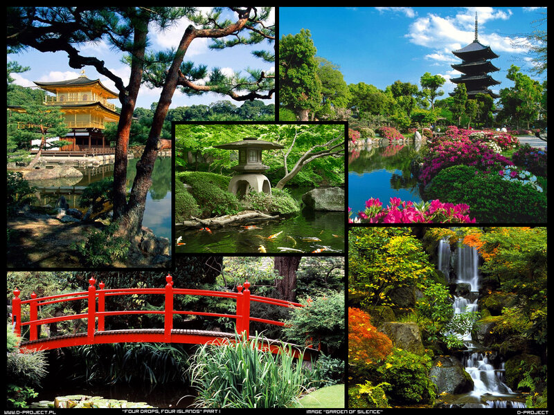 Japanese Garden Scenes