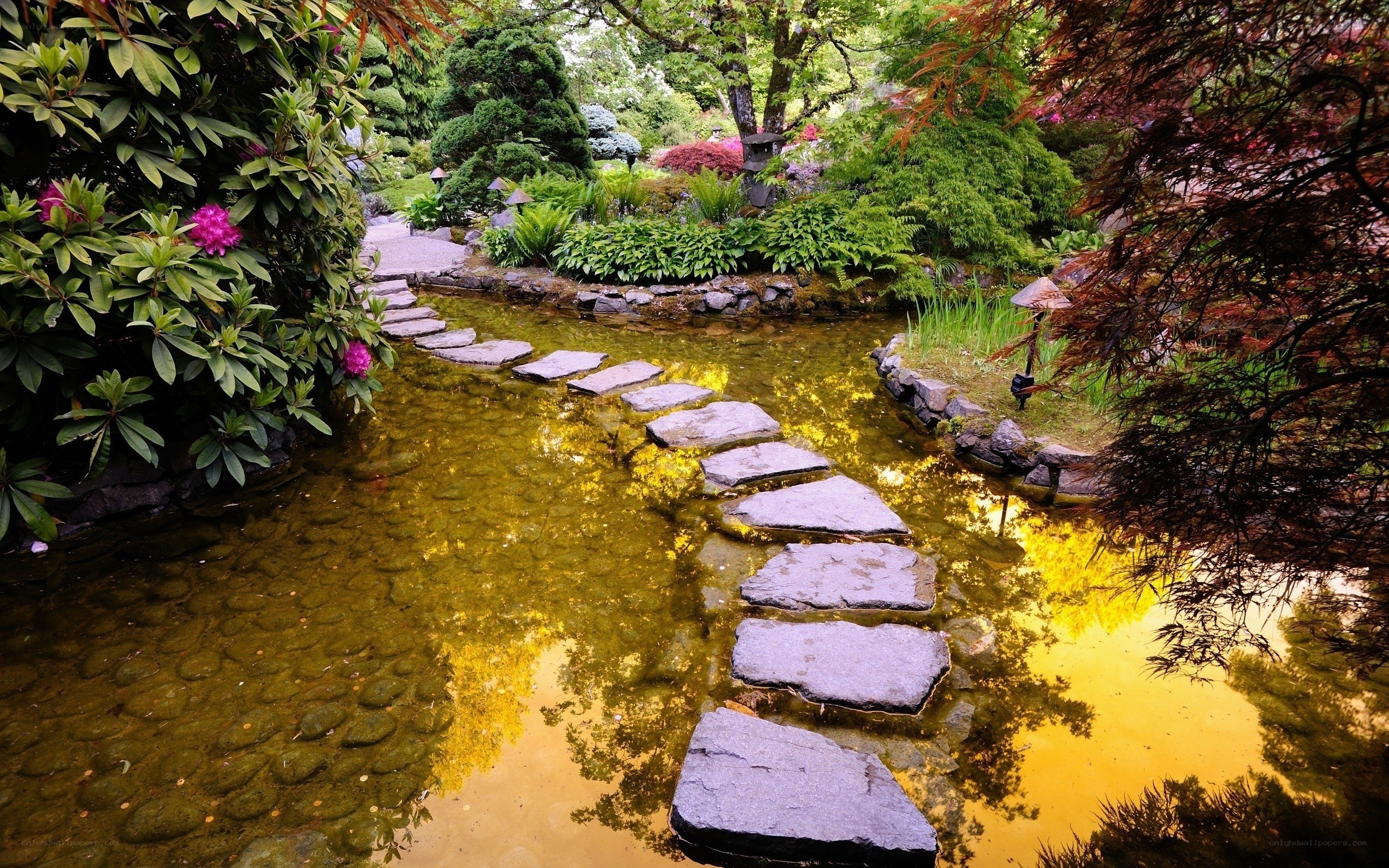 Japanese garden stone path