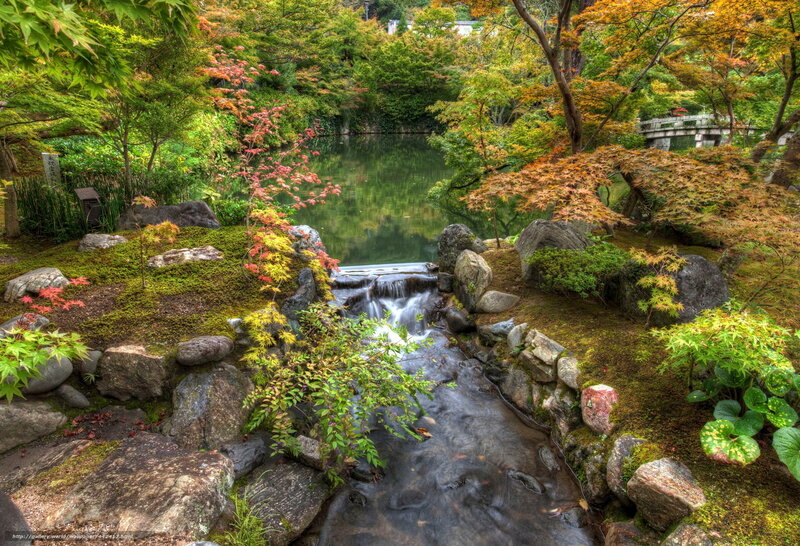 Japanese Garden Stream — Green, Serene, Autumn, Photograph