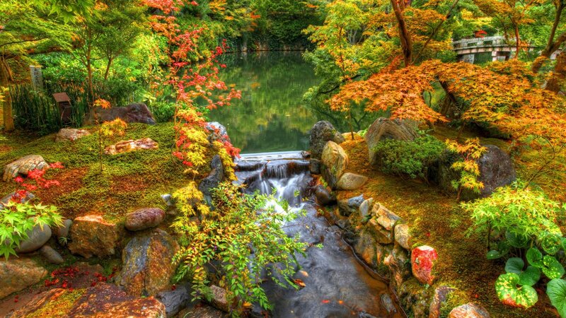 Japanese Garden Stream — Green, Serene, Autumn