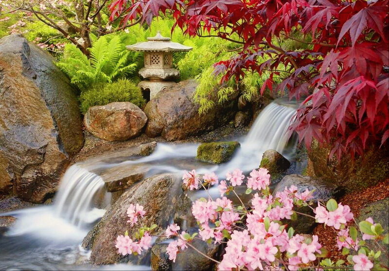 Japanese Garden Stream — Green, Serene, Spring