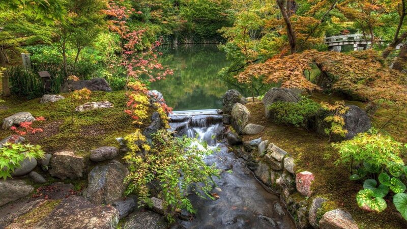 Japanese Garden Stream — Green, Serene