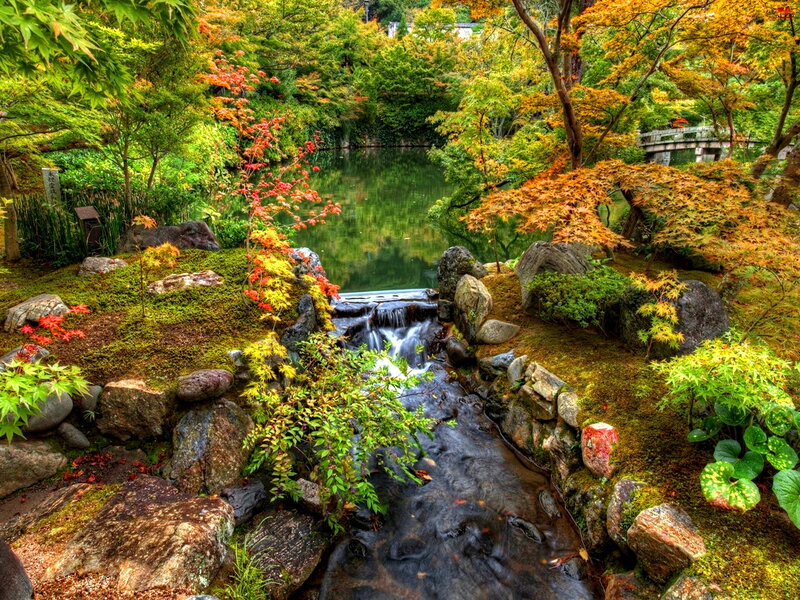 Japanese Garden Stream — Green