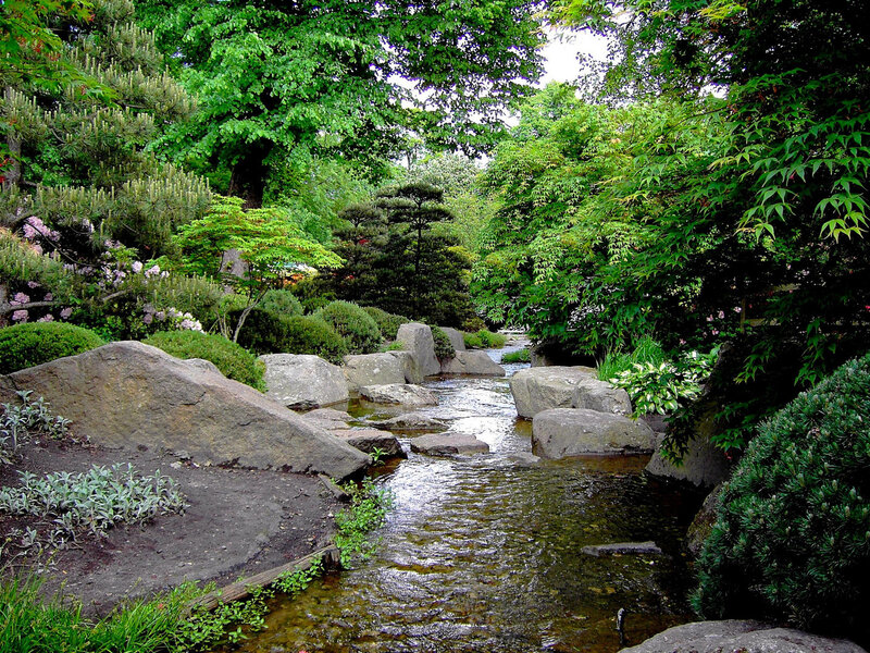 Japanese garden stream