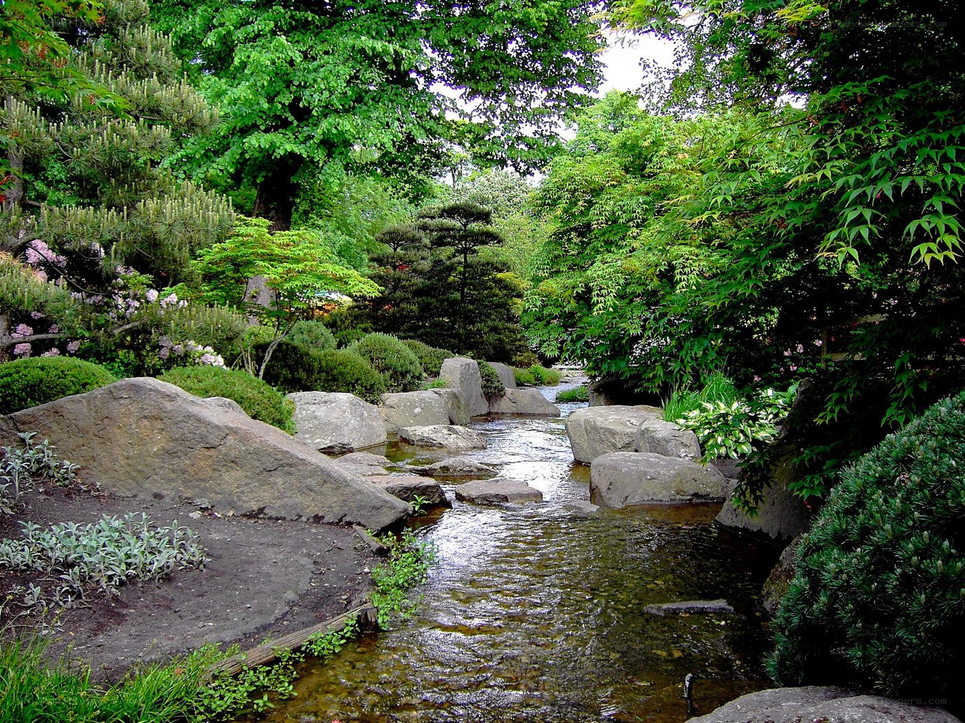 Japanese garden stream