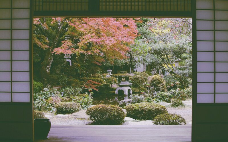 Japanese Garden Through Shoji