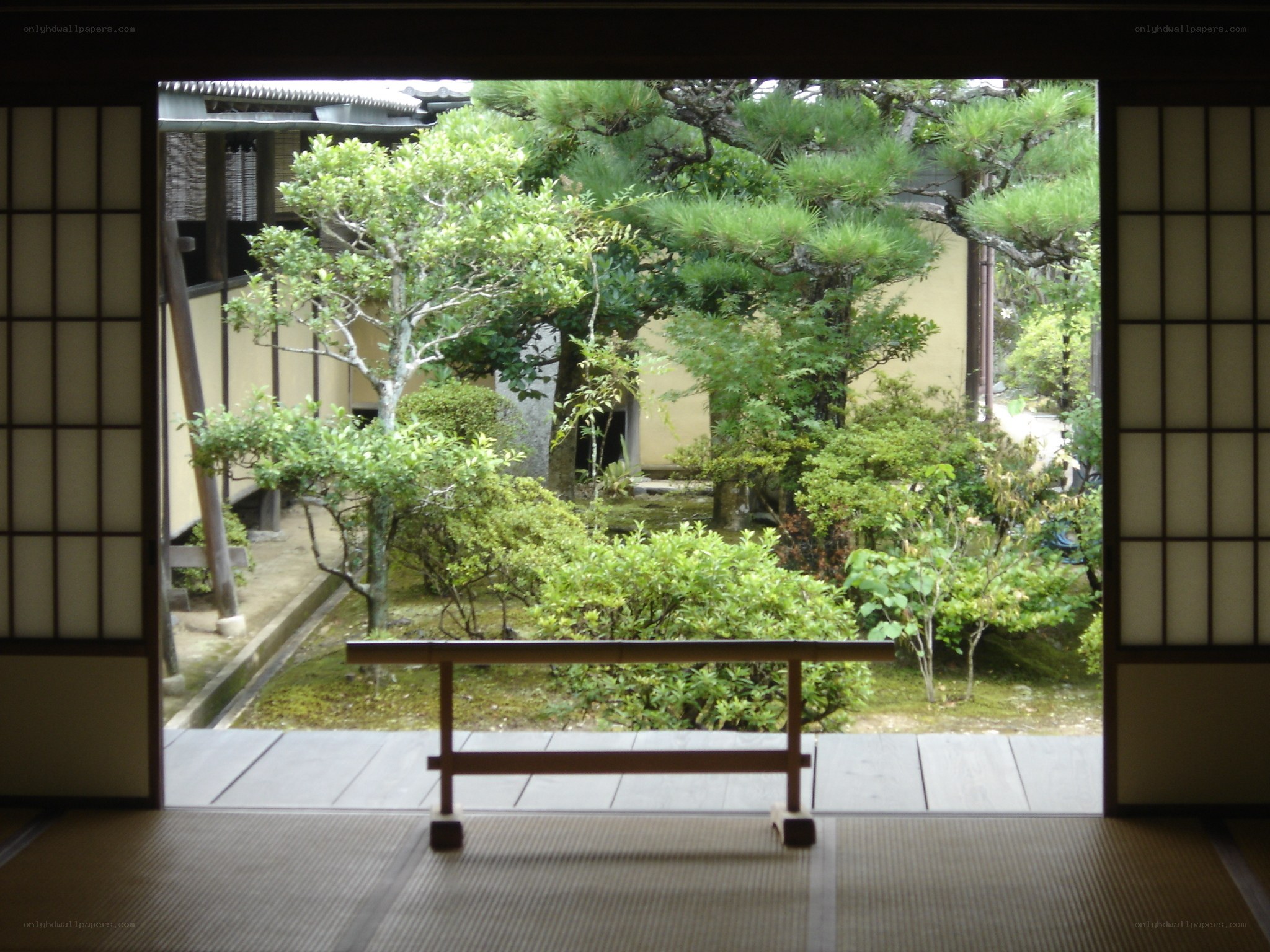 Japanese garden view from interior