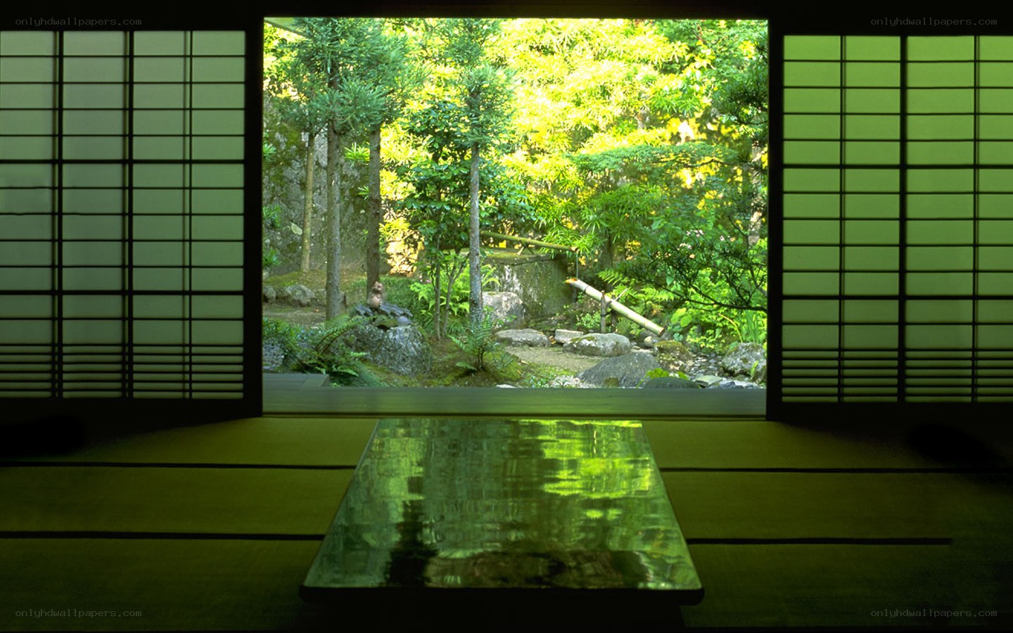 Japanese garden view from room