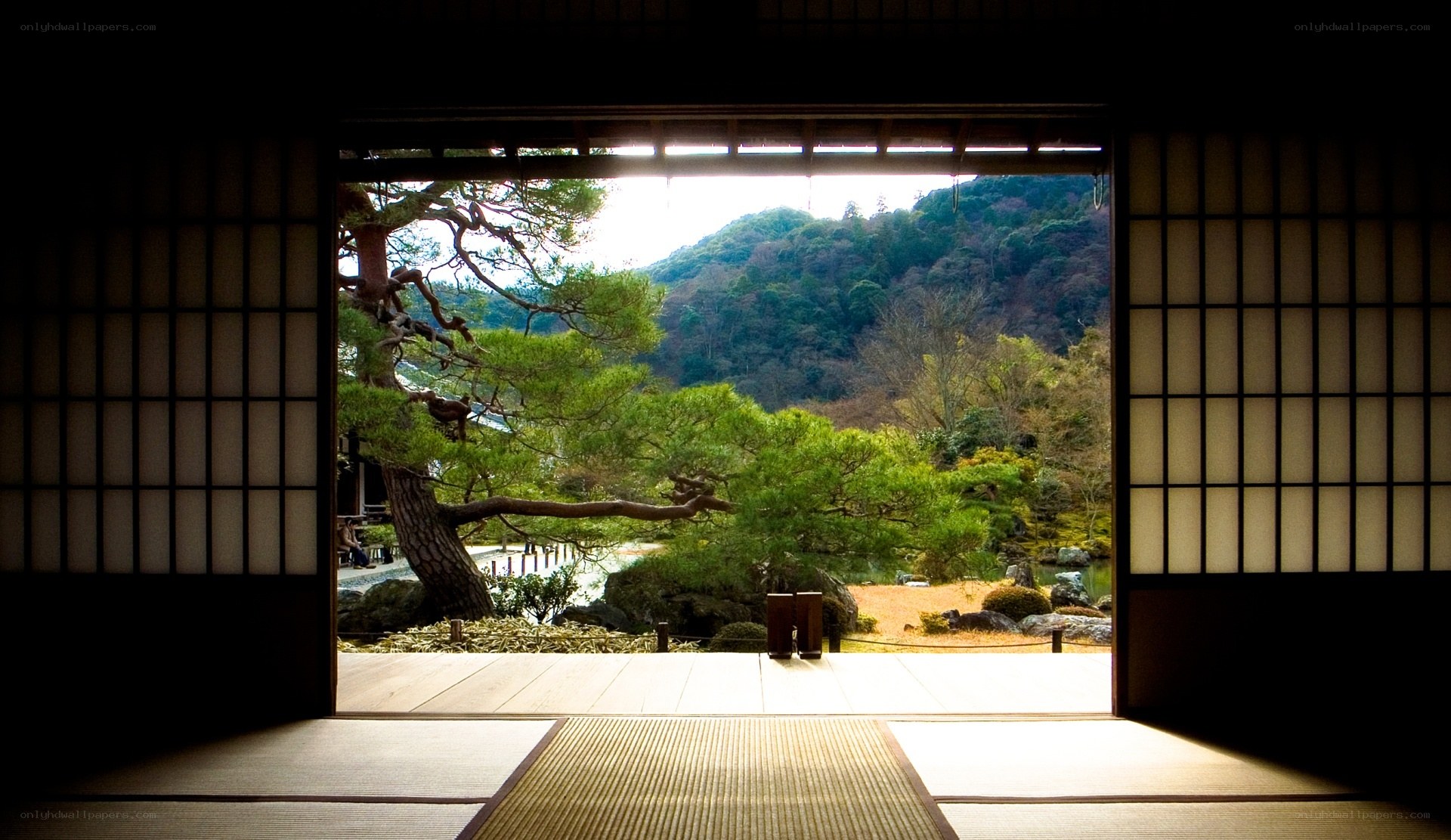 Japanese garden view from temple