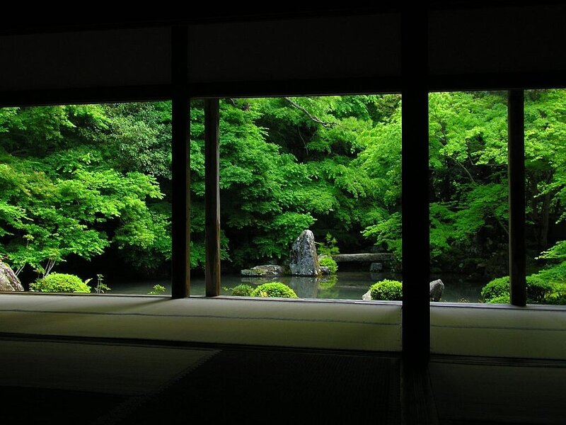 Japanese Garden View — Green, Serene, Afternoon, Photograph, Trees