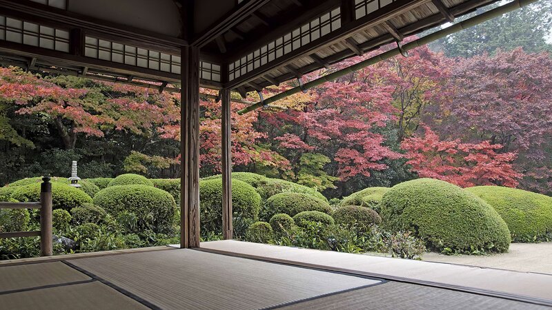 Japanese Garden View — Green, Serene, Autumn, Photograph