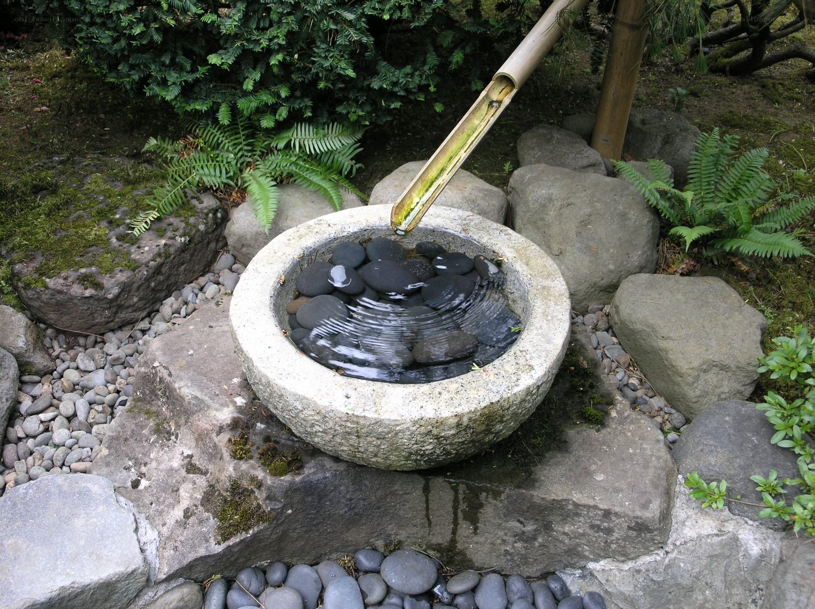 Japanese garden water feature