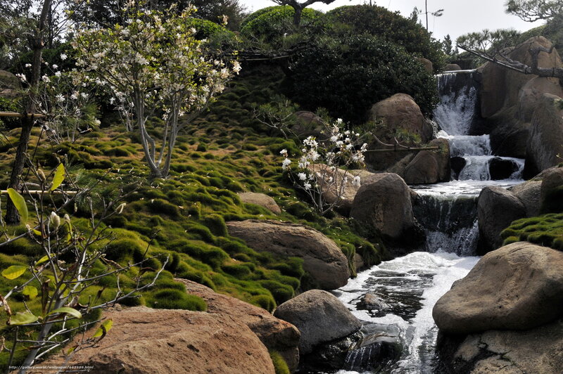 Japanese Garden Waterfall — Green, Serene, Spring