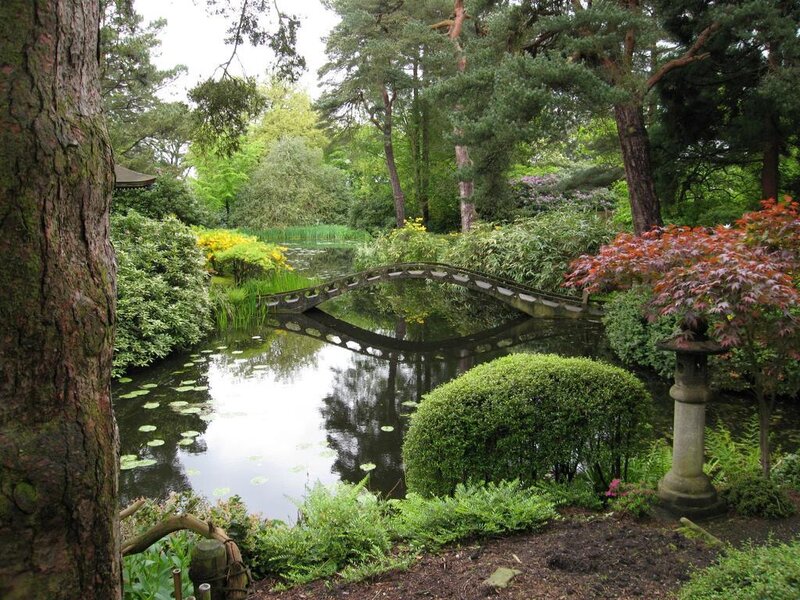 Japanese garden with arched bridge