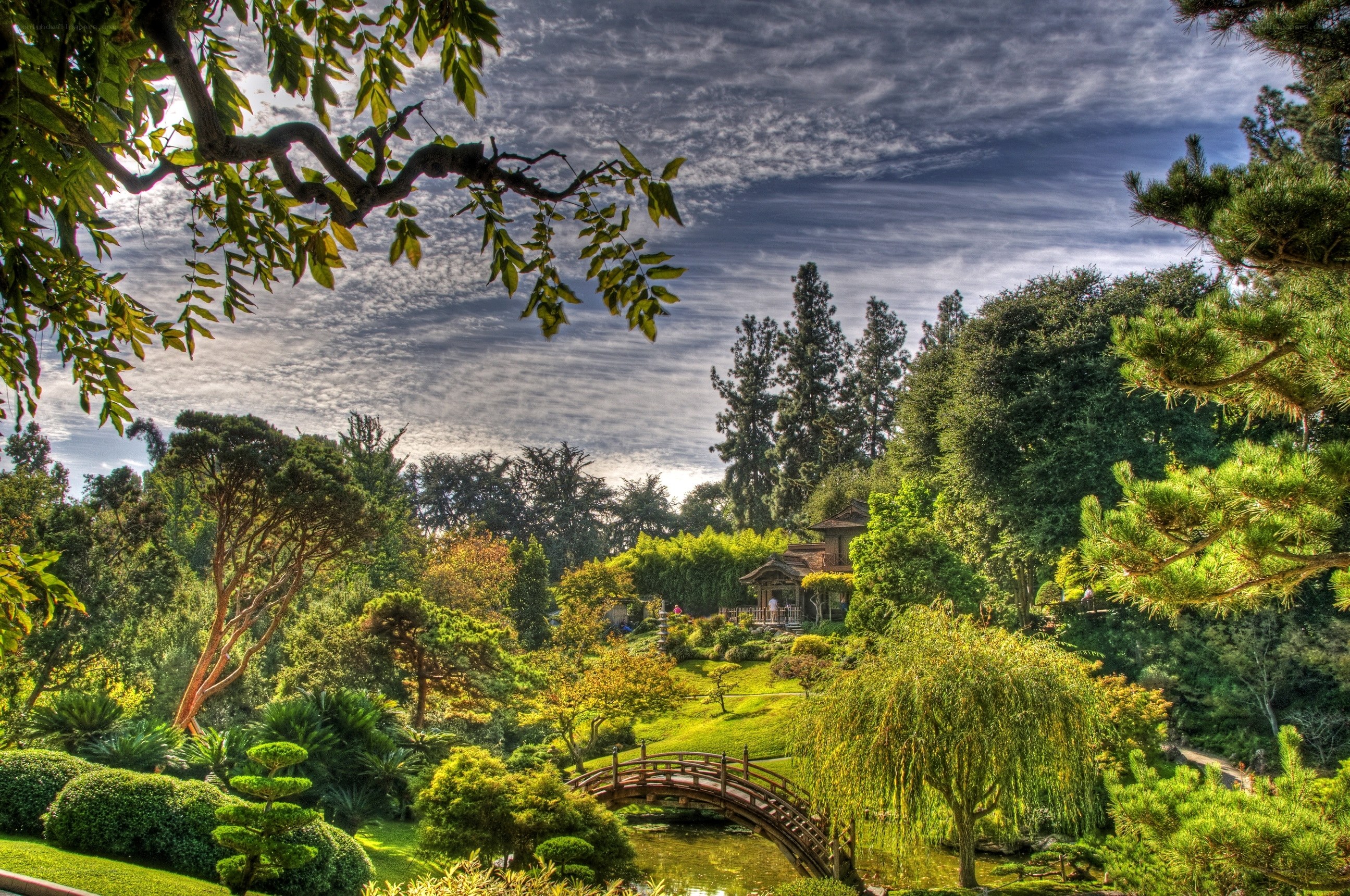 Japanese garden with arched bridge