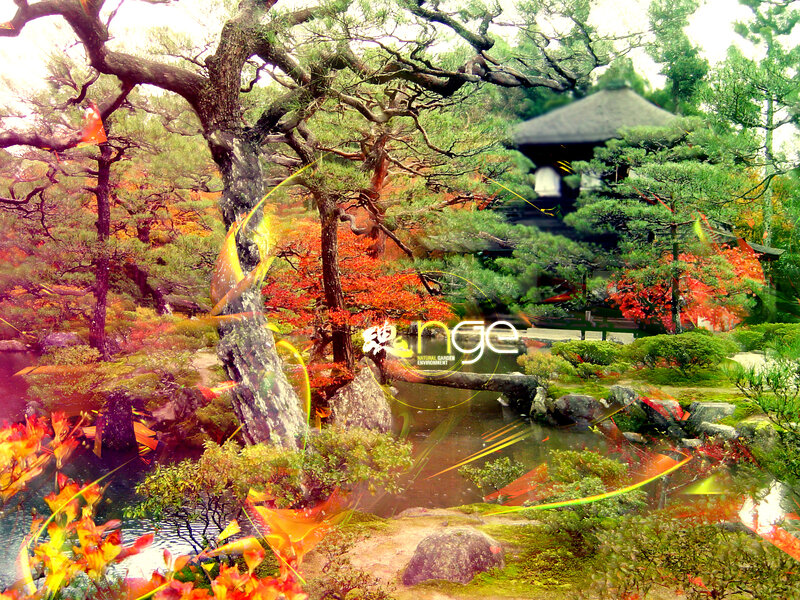 Japanese garden with autumn colors