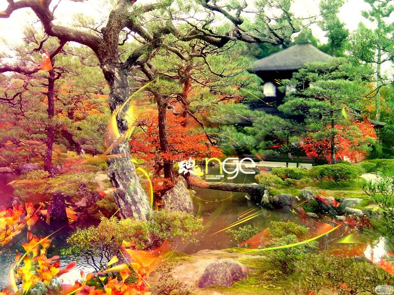 Japanese garden with autumn colors
