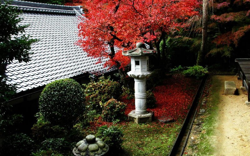 Japanese garden with autumn leaves