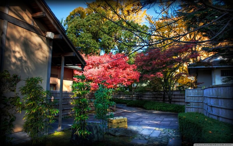 Japanese Garden with Autumn Trees — Red, Serene