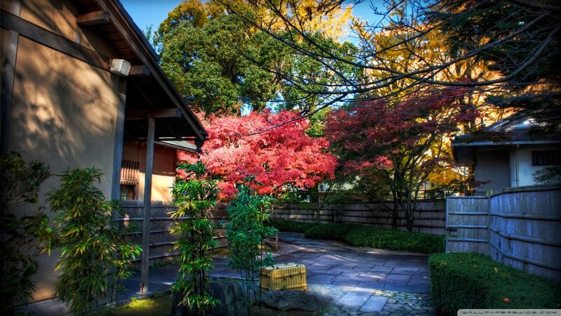 Japanese Garden with Autumn Trees — Red
