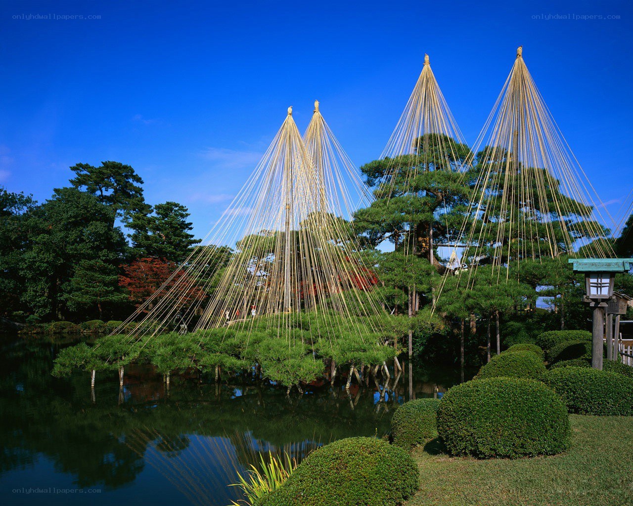 Japanese garden with bamboo structures