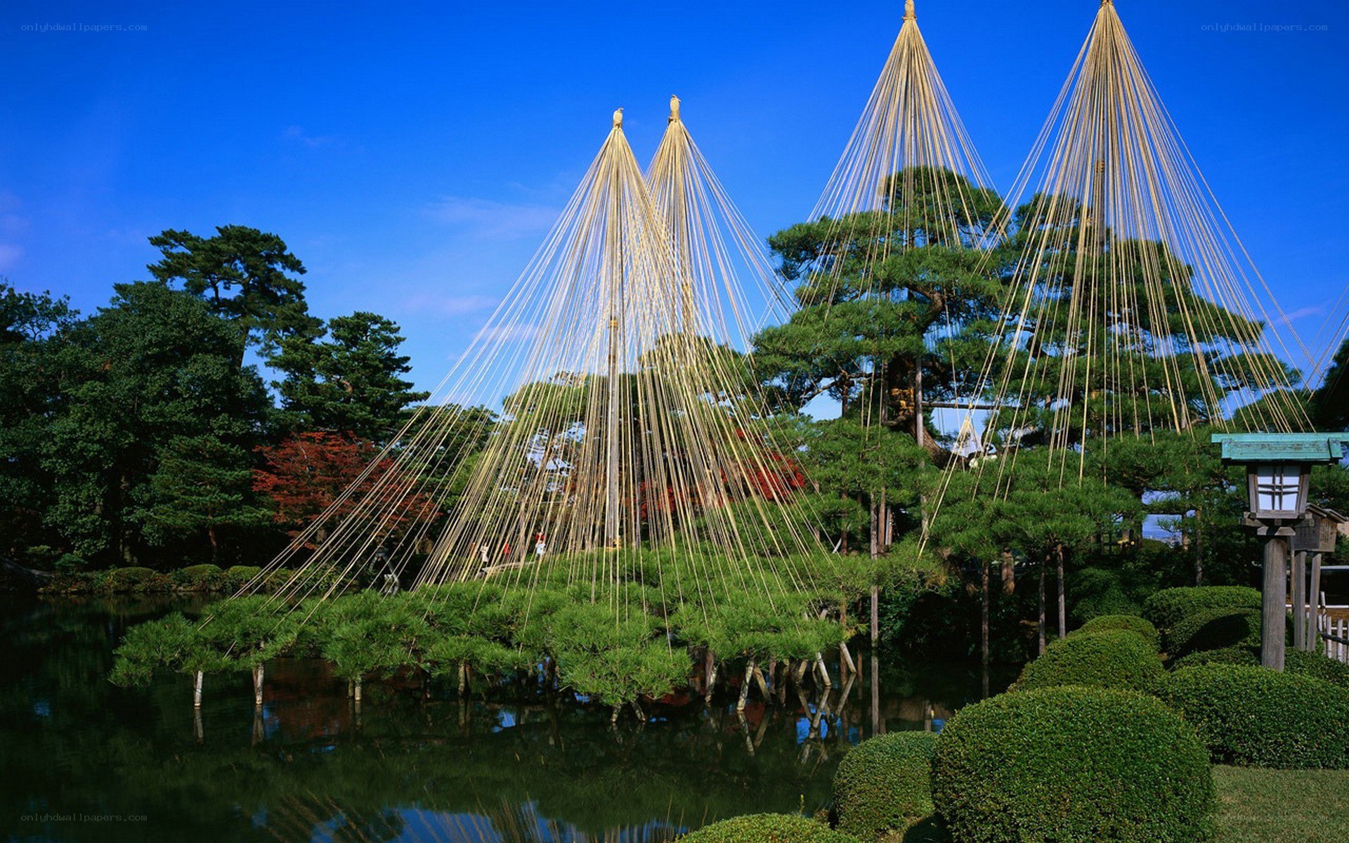 Japanese garden with bamboo structures
