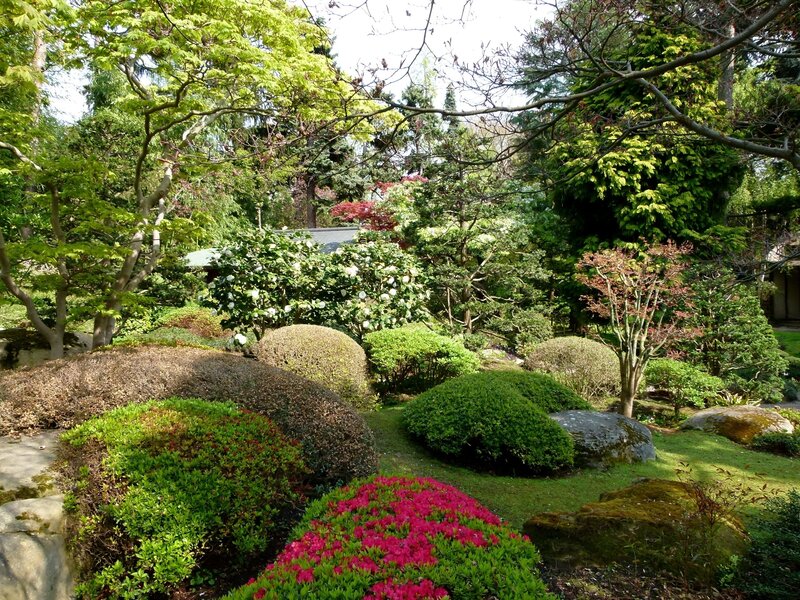 Japanese garden with blooming flowers