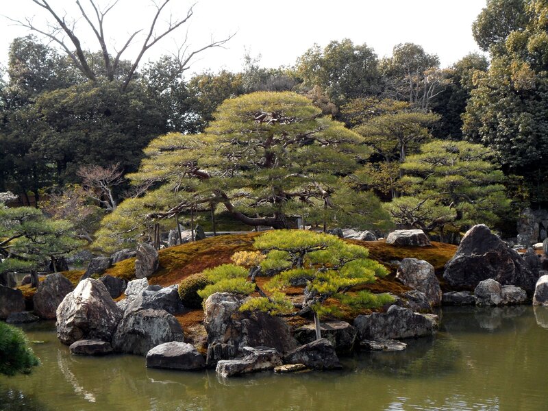 Japanese garden with bonsai and pond