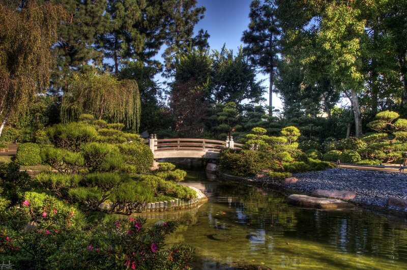 Japanese garden with bridge