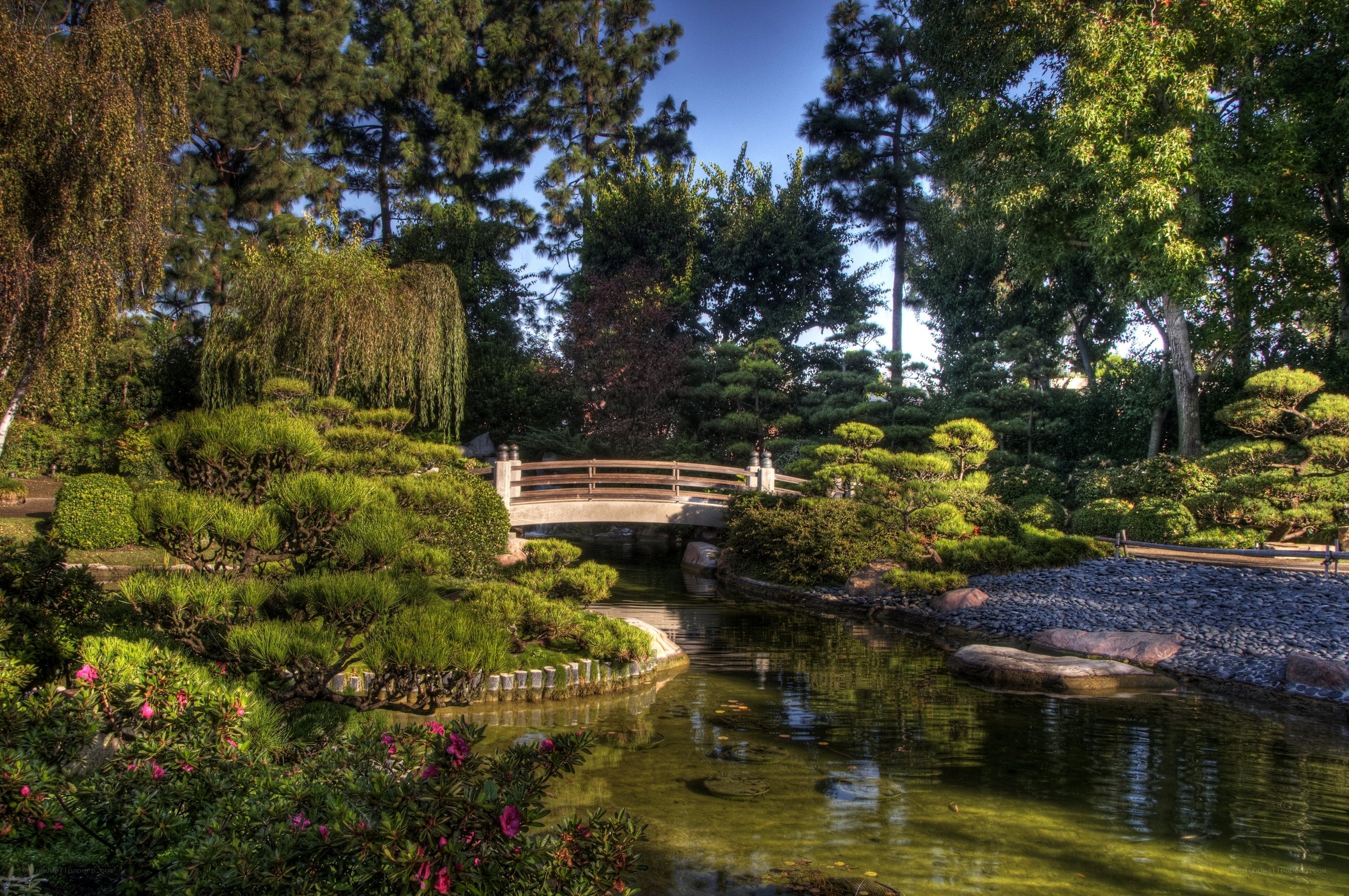Japanese garden with bridge