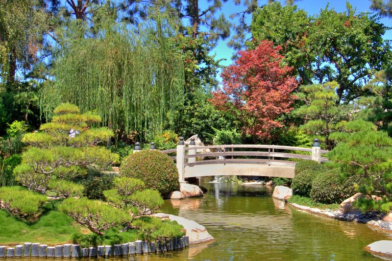 Japanese garden with bridge