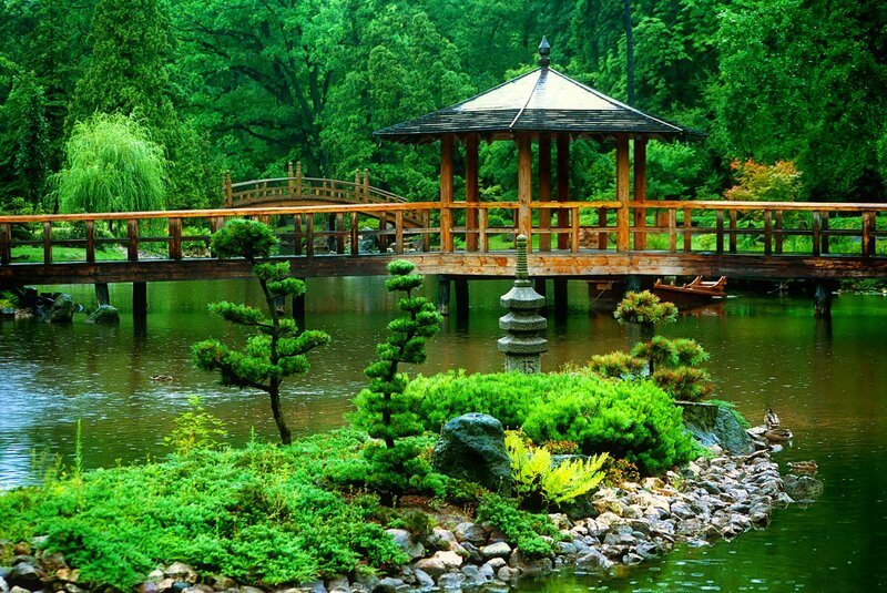 Japanese Garden with Bridge — Green, Serene, Afternoon, Photograph, Pagoda, Pond