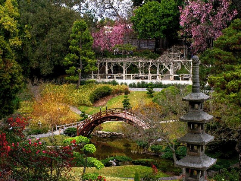 Japanese Garden with Bridge — Green, Serene