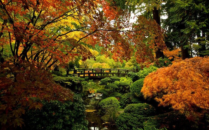 Japanese Garden with Bridge — Orange