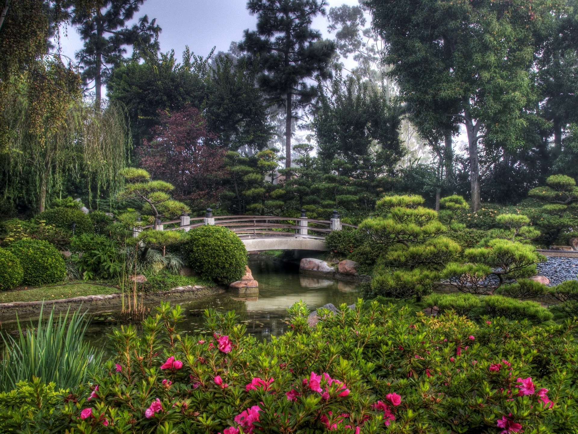 Japanese garden with bridge